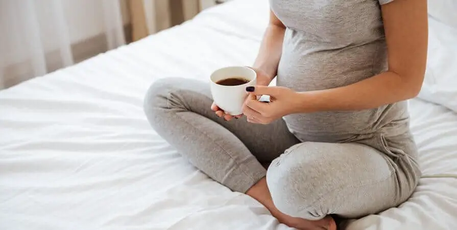 Can I Drink Lipton Tea While Pregnant