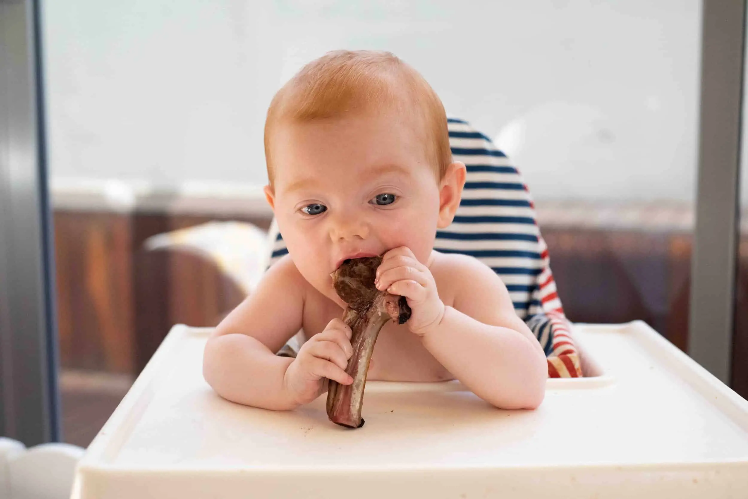 Iron Rich Foods for Babies, Kids & Toddlers - What Foods are High in Iron for Baby?