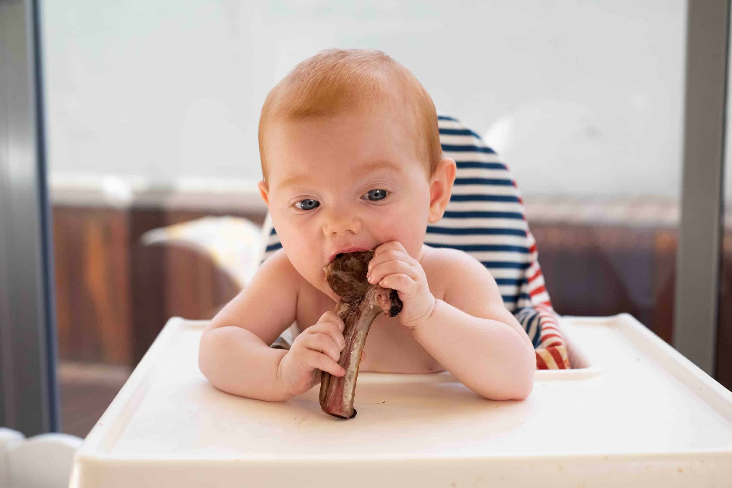 Iron Rich Foods for Babies, Kids & Toddlers - What Foods are High in Iron for Baby?