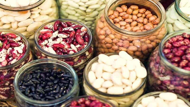 Best Beans for Pregnancy