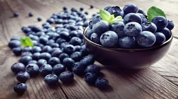Can Blueberries Make your Baby's Poop Black