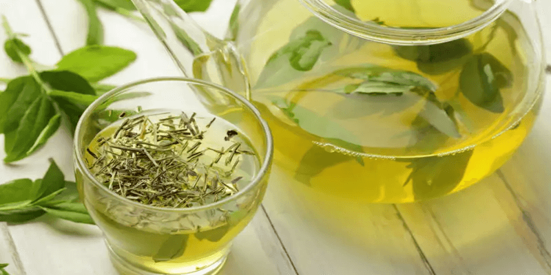 Is Green Tea Safe for Kids