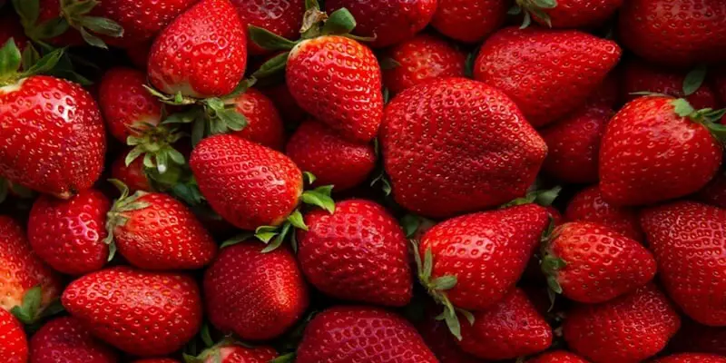 Is It Safe To Eat Strawberry During Pregnancy