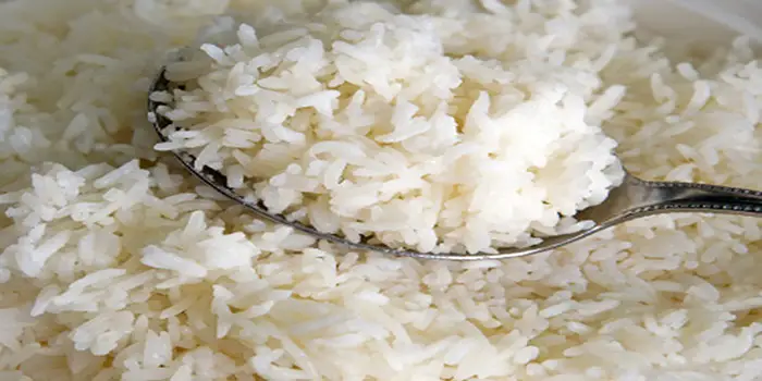Can you eat rice during pregnancy