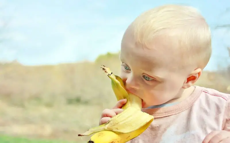 Can Babies eat bananas