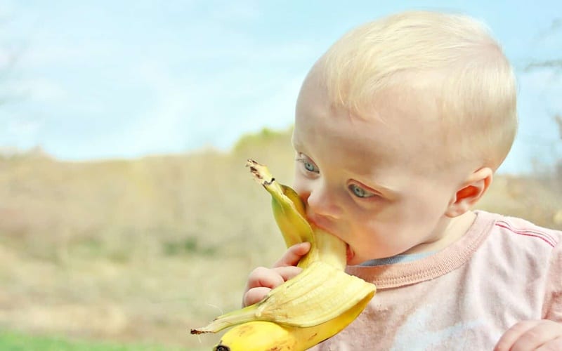 Can Babies eat bananas